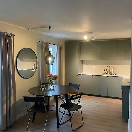 Newly Renovated For Rent Apartment Jordalen
